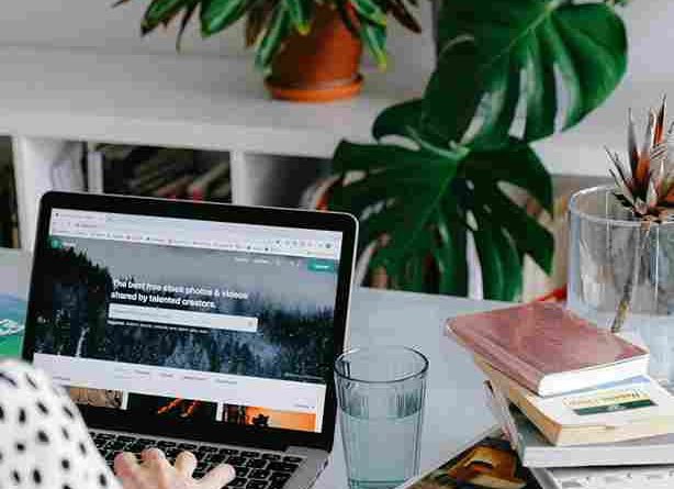 sukses jadi freelance